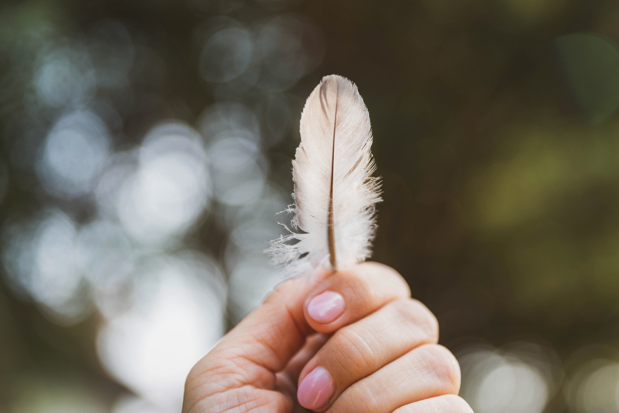 Feather in woman's hand